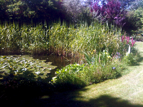 Gartenteich