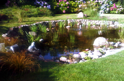 Bild von Projekt 5